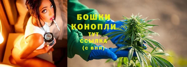 дурь Арсеньев