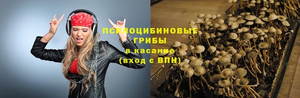 спиды Алексеевка